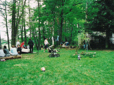 Plants: image 1 0f 4 thumb
